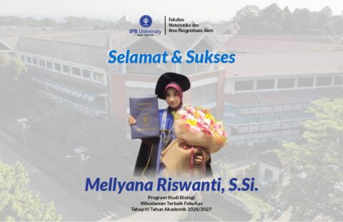 Website WA