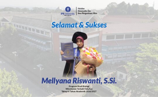 Website WA