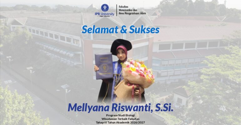 Website WA