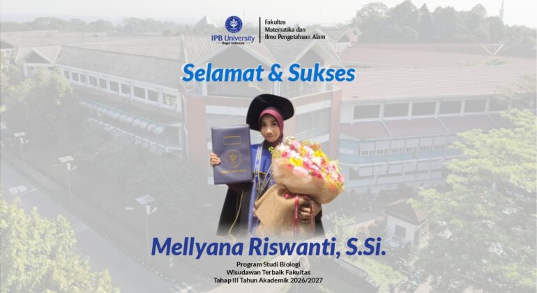 Website WA